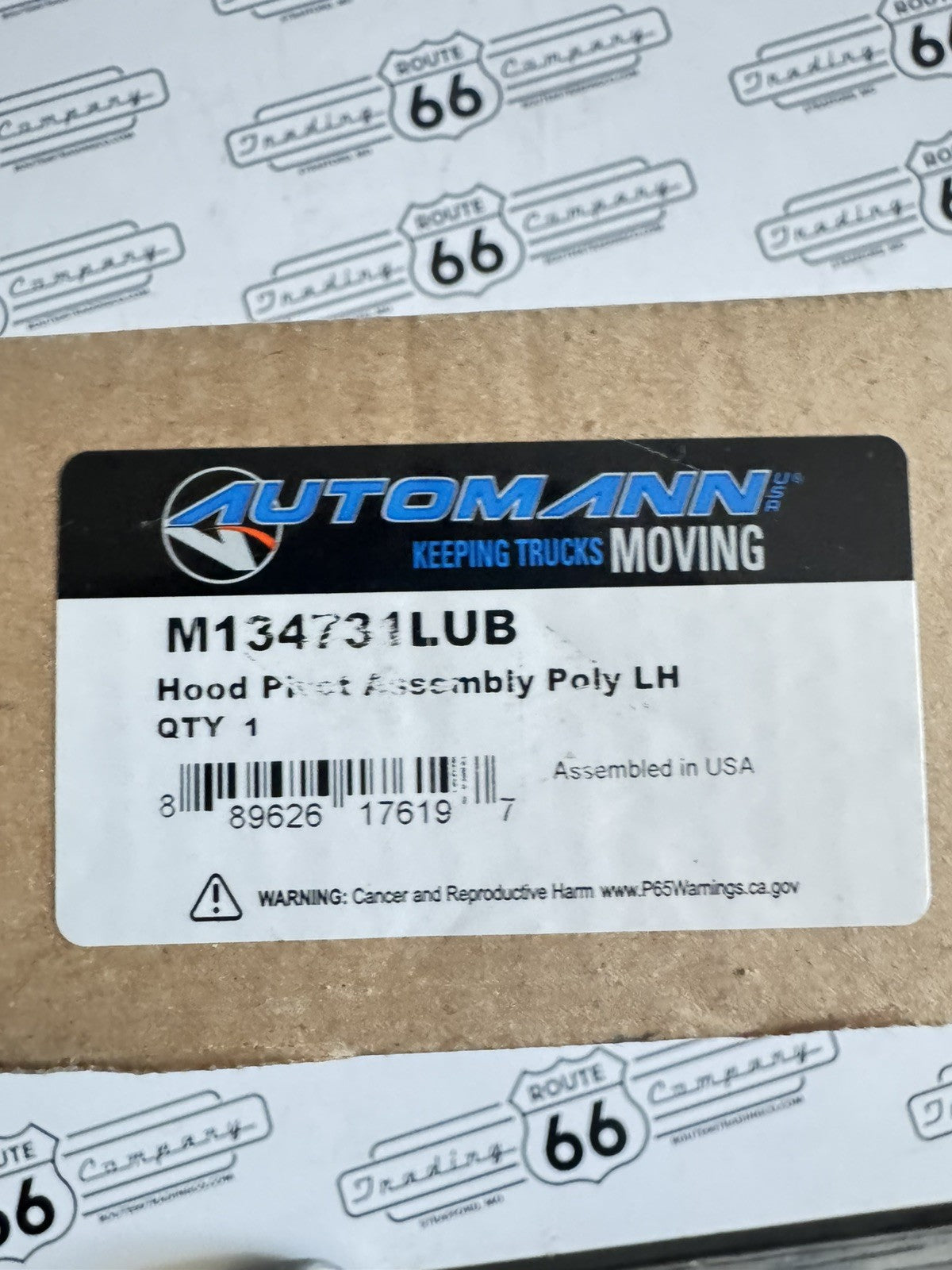 Automann M134731LUB Hood Pivot Assembly Poly LH Driver Side OEM Replacement
